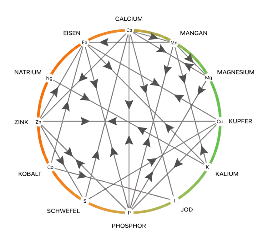 Das Mineral Balancing System