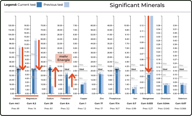 Laboranalyse von Kamil: Mineralwerte vorher und nachher im Vergleich